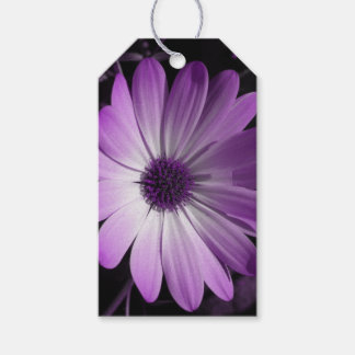 Purple Daisy Flower personnalisé étiquettes cadeau