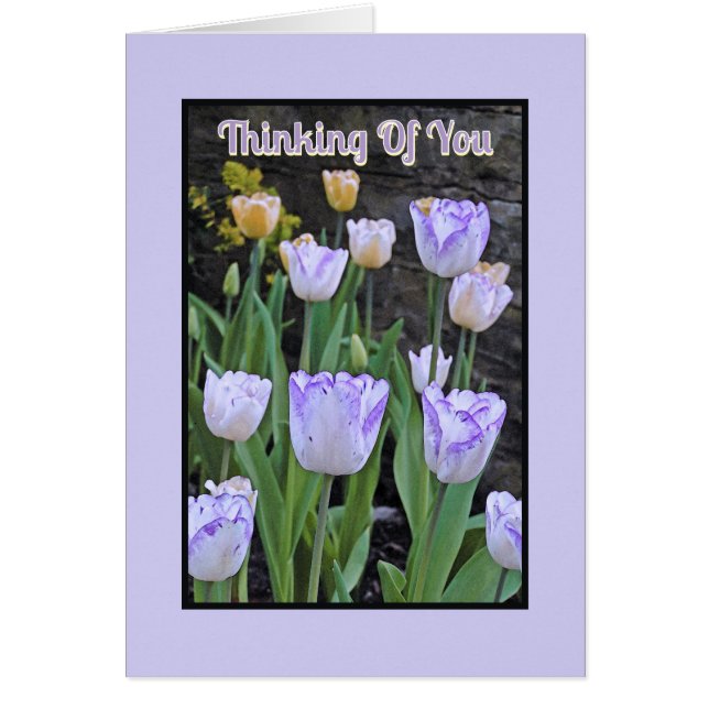 "PURPLE ET BLANC TULIPS / Penser à vous (Devant)