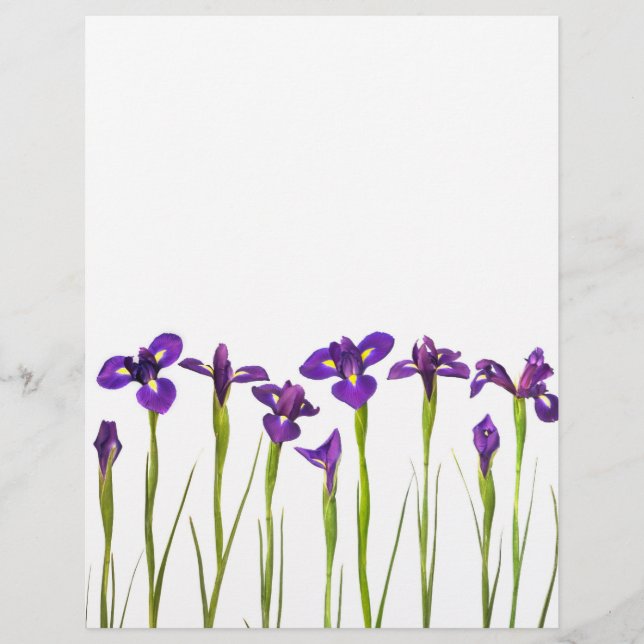 Purple Irises - Iris Flower Customisé Modèle (Devant)