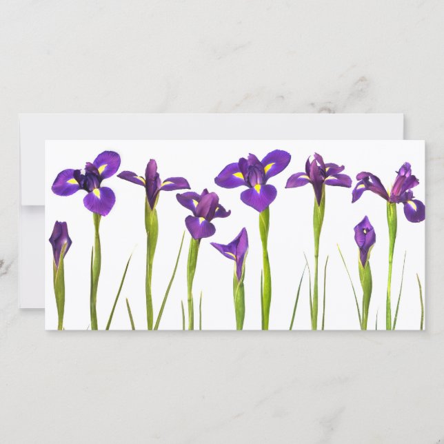 Purple Irises - Iris Flower Customisé Modèle (Devant)