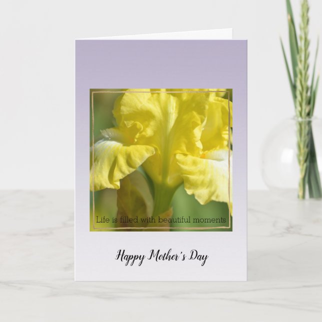 Purple Lavender Flowers Belle Moments Carte (Devant)