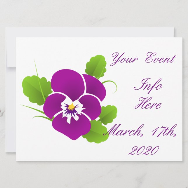 Purple Pansy Flower Thunder_Cove (Devant)