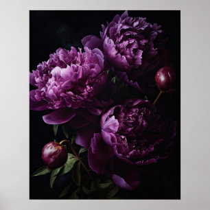 Purple Peony Flowers Art Imprimer Poster