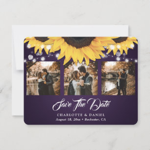 Purple Tournesol 3 Photo Enregistrer Les Cartes De