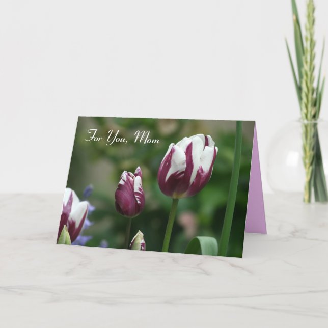 Purple Tulips Carte de jour de maman (Devant)