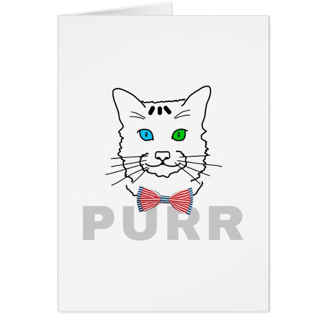 Purr de chat (Devant)