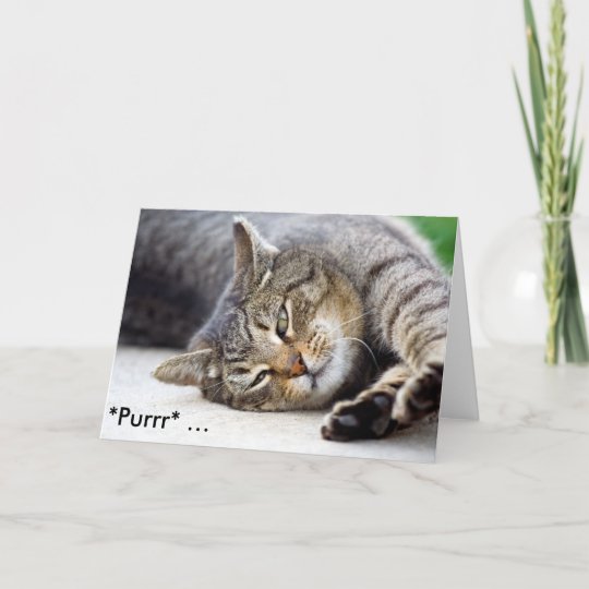 Purrr Carte D Anniversaire Drole Avec Le Chat Zazzle Fr