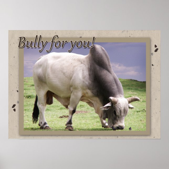 Putain pour toi ! Poster Brahma Bull Imprimer (Devant)