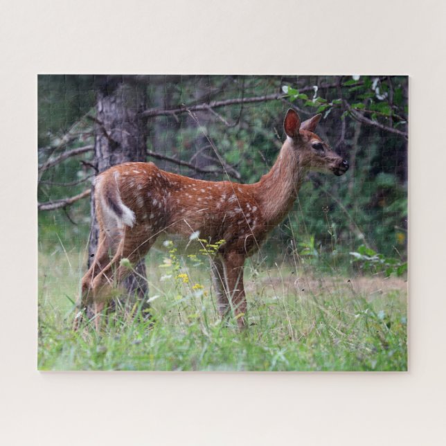 Puzzle (Horizontal)