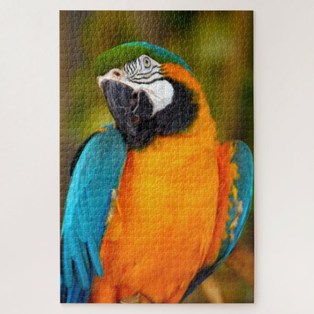 Puzzle 1000 pièces Majestic Macaw (Vertical)