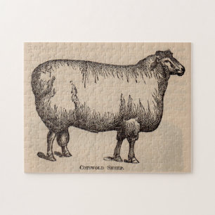 Puzzle 19e century print cotswold sheep