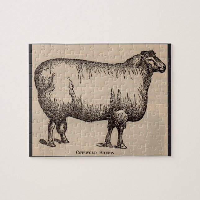 Puzzle 19e century print cotswold sheep (Horizontal)
