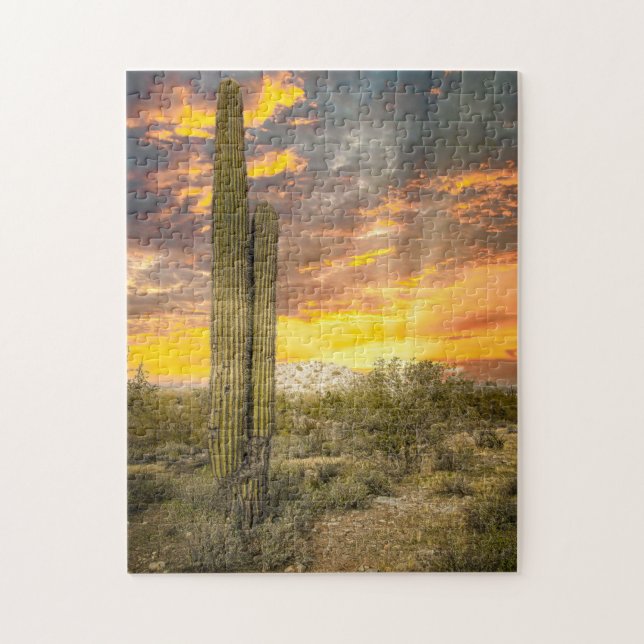 Puzzle 2706-Arizona Desert Landscape at Sunset (Vertical)