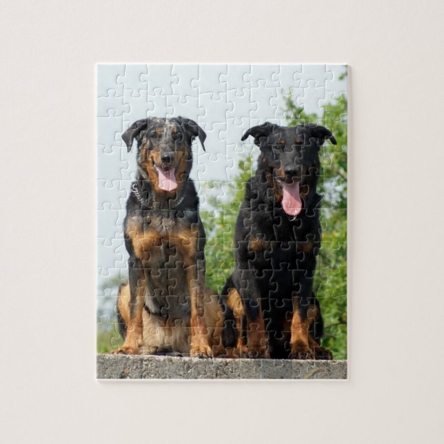 Puzzle 2 Beaucerons (Vertical)