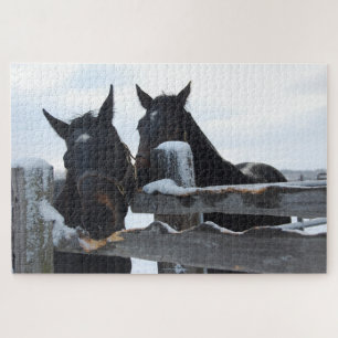 Puzzle 2 Chevaux à mâcher sur une clôture