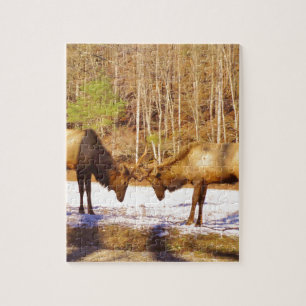 Puzzle 2~ deux Bull Elk dans la neige