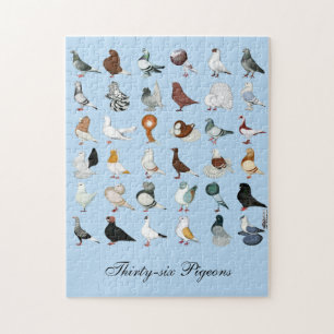 Puzzle 36 races de pigeons