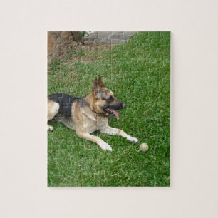 Puzzle 3 german-shepherd-laying.png