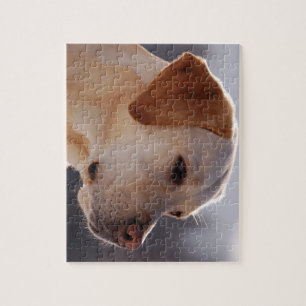 Puzzle 3 Labrador_Retriever.png