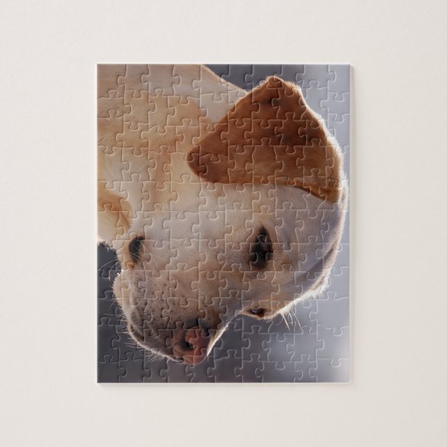 Puzzle 3 Labrador_Retriever.png (Vertical)