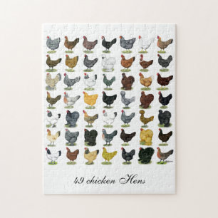Puzzle 49 poules de poulet