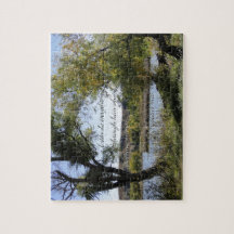 4h13 de Philippiens je peux faire tout par lui.