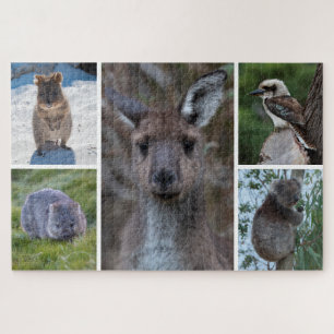 Puzzle 5 en 1 Animaux d'Australie, 1014 pièces
