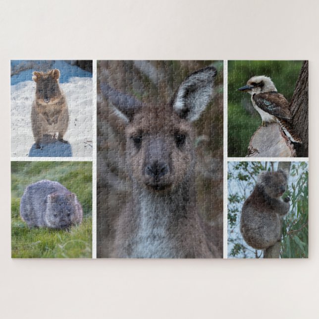 Puzzle 5 en 1 Animaux d'Australie, 1014 pièces (Horizontal)