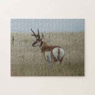 Puzzle A22 Pronghorn Antelope Buck