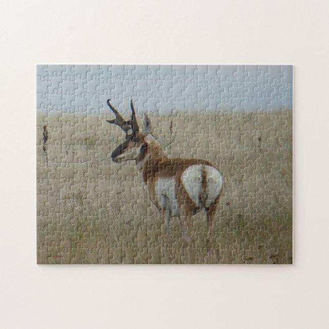 Puzzle A22 Pronghorn Antelope Buck (Horizontal)