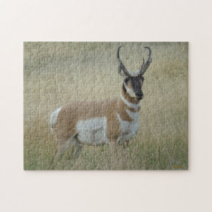Puzzle A8 Pronghorn Antelope Big Buck