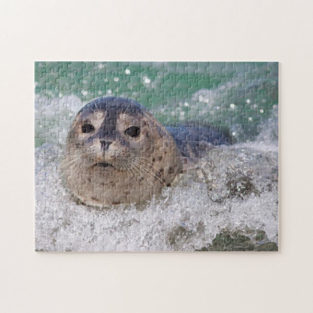 Puzzle A baby seal surfing (Horizontal)