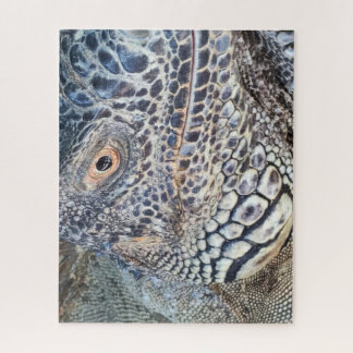 Puzzle A close up head of a green iguana. Challenging