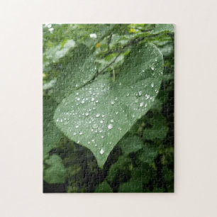Puzzle à feuilles vertes et gouttes de pluie