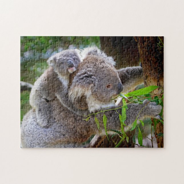 Puzzle A Koala mother and baby in a tree (Horizontal)