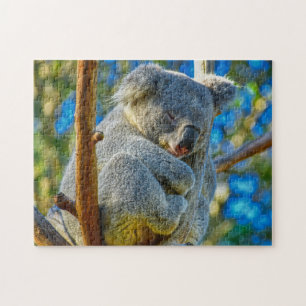 Puzzle A Koala sleeping peacefully in a tree
