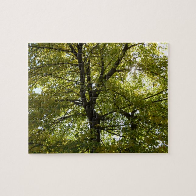 Puzzle À l'intérieur d'un érable jaune automne (Horizontal)
