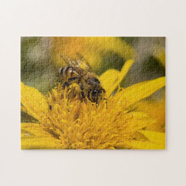 Puzzle Abeille Africaine Avec Sacs De Pollen En Train De  (Horizontal)