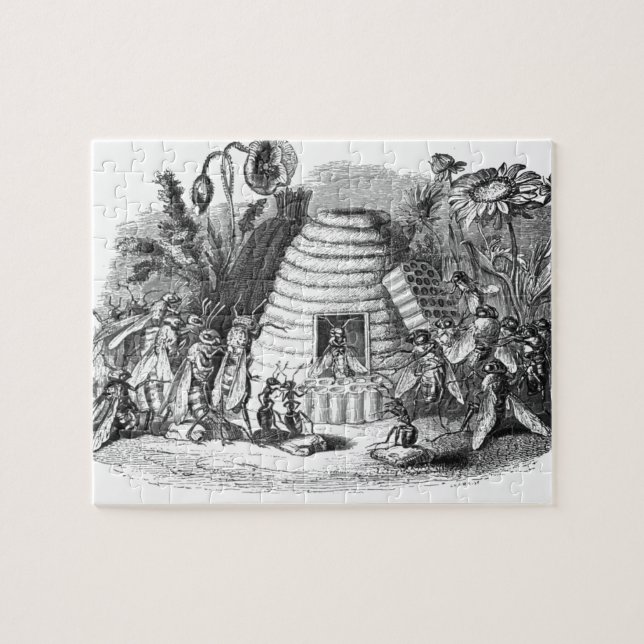 Puzzle Abeille Reine Et Abeilles Ouvrières À La Ruche (Horizontal)