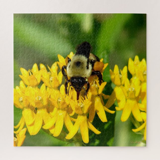 Puzzle Abeille se régalant de fleurs sauvages d'Asclépiad (Vertical)