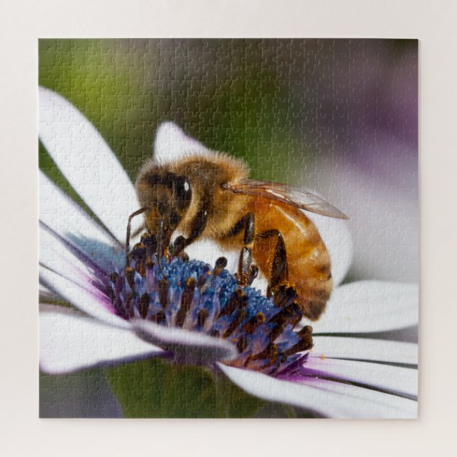 Puzzle Abeille sur une fleur (Vertical)