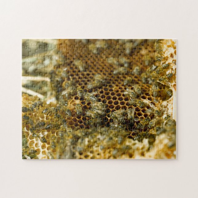 Puzzle Abeilles dans une ruche, Western Cape, Afrique du  (Horizontal)
