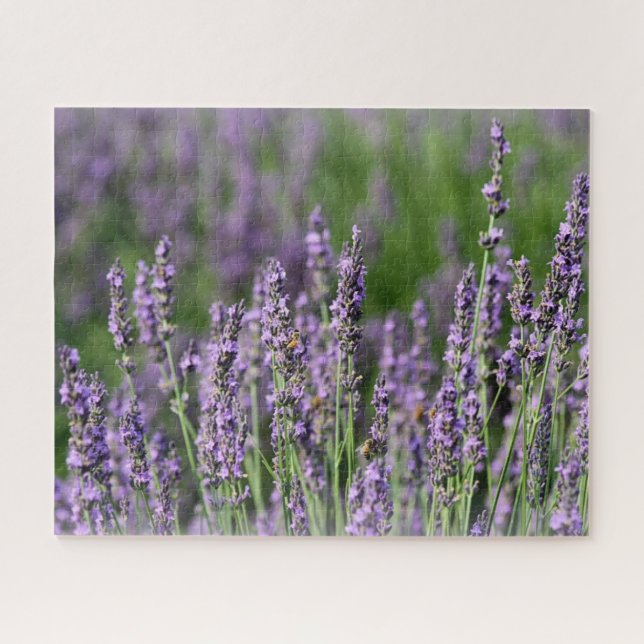 Puzzle Abeilles de miel sur les fleurs de lavande (Horizontal)