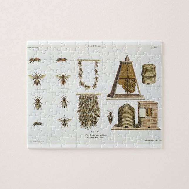 Puzzle Abeilles et apiculture, "du jeune terrien", p (Horizontal)