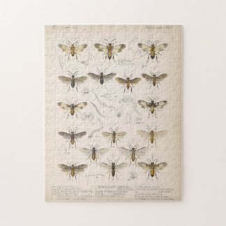 Puzzle Abeilles et guêpes de Cameron 1883-1890