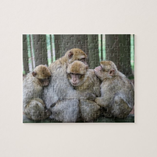 Puzzle Accrochage du groupe Ape (Horizontal)