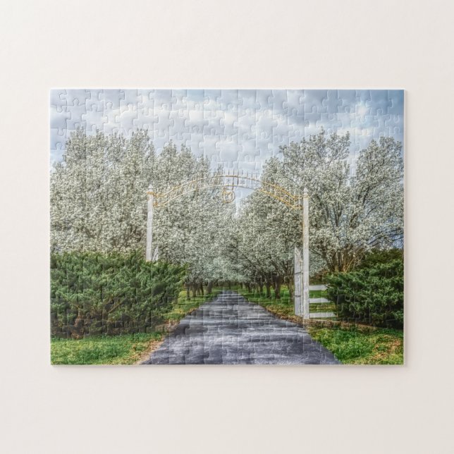 Puzzle Accueil du lecteur Spring (Horizontal)