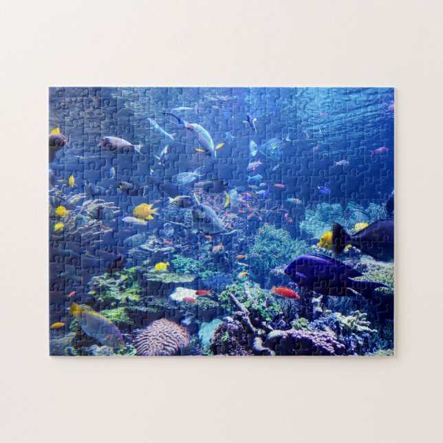 Puzzle Accueil École de poisson (Horizontal)