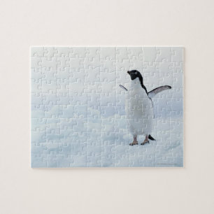 Puzzle Adelie pingouin, Antarctique