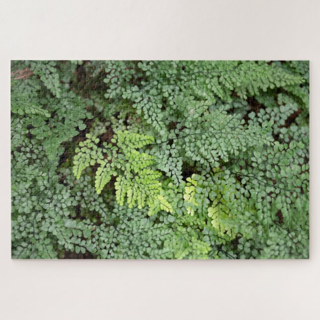 Puzzle Adiantum Venustum - capillaire de Venus ou capilla (Horizontal)